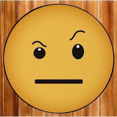 DEERLUX Emoji Style Round Funny Smiley Face Kids Area Rug, Raised Eyebrow Emoji Rug, 24 x 24 QI003875.XS